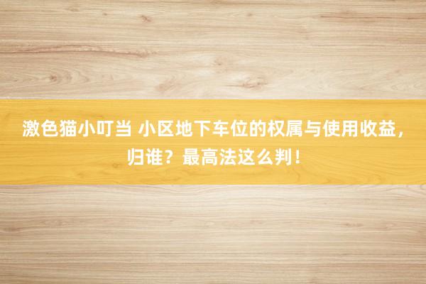 激色猫小叮当 小区地下车位的权属与使用收益，归谁？最高法这么判！