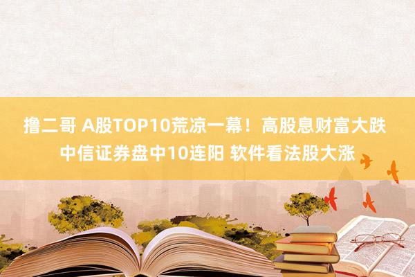 撸二哥 A股TOP10荒凉一幕！高股息财富大跌 中信证券盘中10连阳 软件看法股大涨