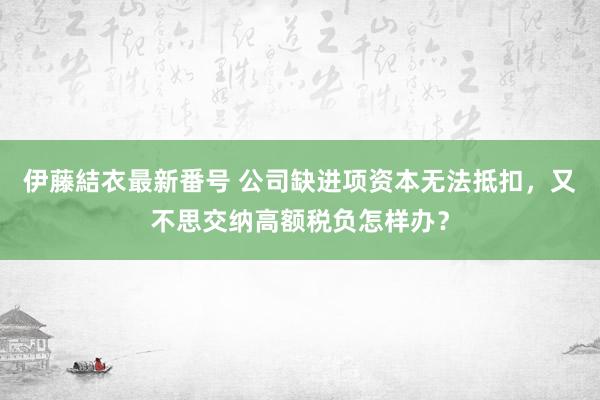 伊藤結衣最新番号 公司缺进项资本无法抵扣，又不思交纳高额税负怎样办？