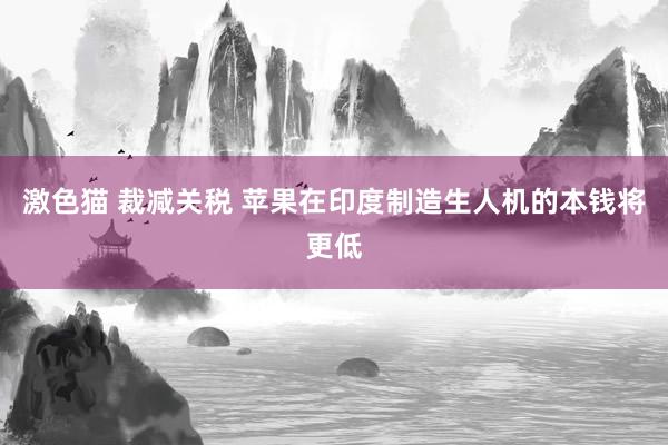 激色猫 裁减关税 苹果在印度制造生人机的本钱将更低