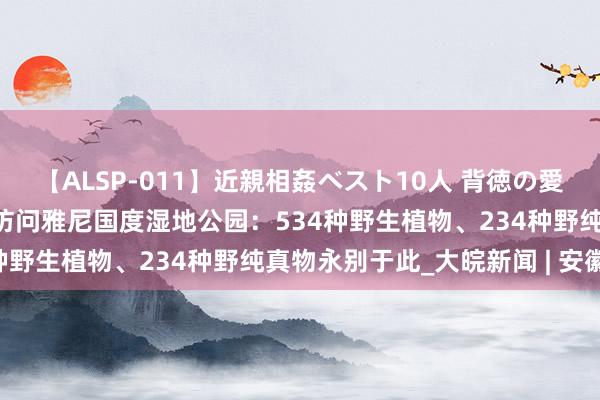 【ALSP-011】近親相姦ベスト10人 背徳の愛に溺れた10人の美母達 访问雅尼国度湿地公园：534种野生植物、234种野纯真物永别于此_大皖新闻 | 安徽网