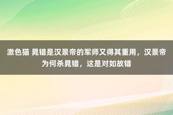 激色猫 晁错是汉景帝的军师又得其重用，汉景帝为何杀晁错，这是对如故错