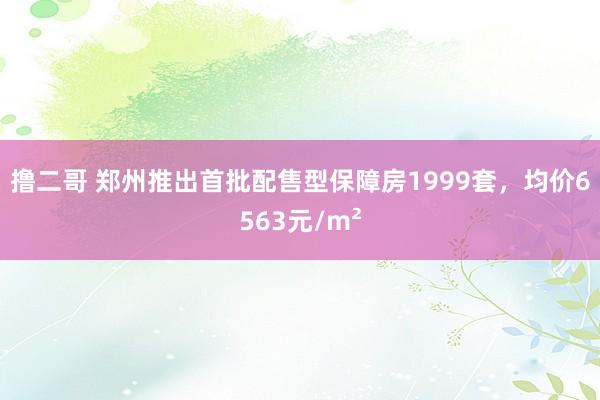 撸二哥 郑州推出首批配售型保障房1999套，均价6563元/m²