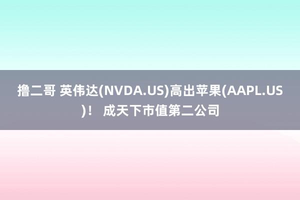 撸二哥 英伟达(NVDA.US)高出苹果(AAPL.US)！ 成天下市值第二公司