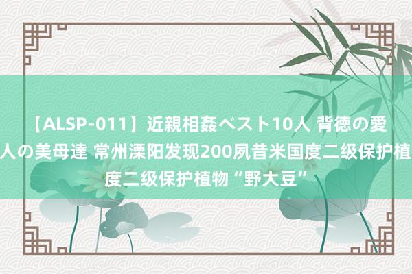 【ALSP-011】近親相姦ベスト10人 背徳の愛に溺れた10人の美母達 常州溧阳发现200夙昔米国度二级保护植物“野大豆”