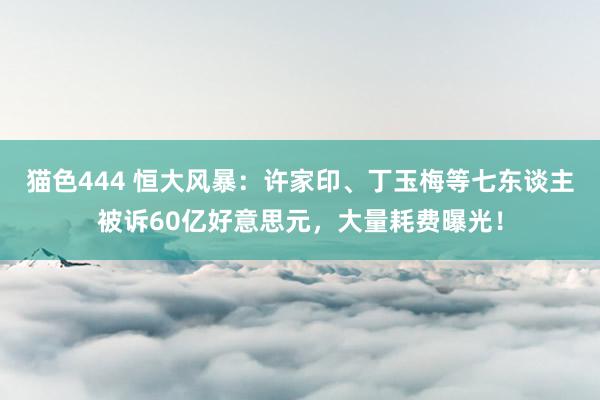 猫色444 恒大风暴：许家印、丁玉梅等七东谈主被诉60亿好意思元，大量耗费曝光！