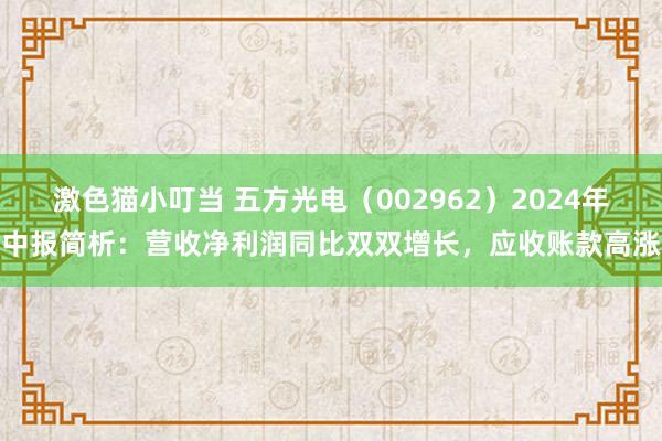 激色猫小叮当 五方光电（002962）2024年中报简析：营收净利润同比双双增长，应收账款高涨