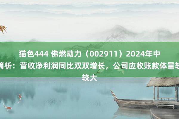 猫色444 佛燃动力（002911）2024年中报简析：营收净利润同比双双增长，公司应收账款体量较大