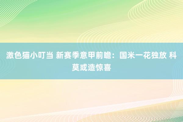 激色猫小叮当 新赛季意甲前瞻：国米一花独放 科莫或造惊喜