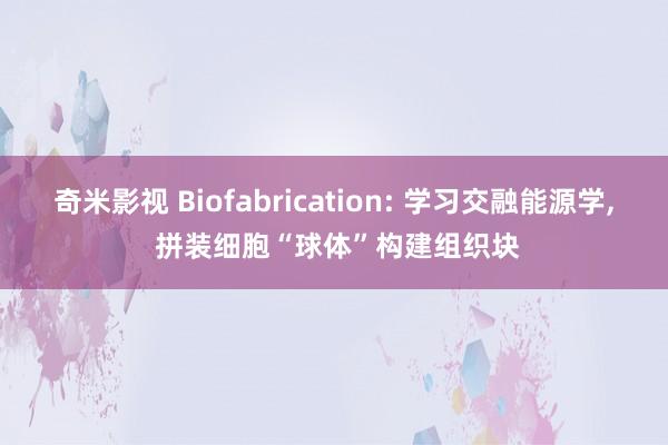 奇米影视 Biofabrication: 学习交融能源学， 拼装细胞“球体”构建组织块