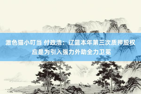 激色猫小叮当 付政浩：辽篮本年第三次质押股权 应是为引入强力外助全力卫冕