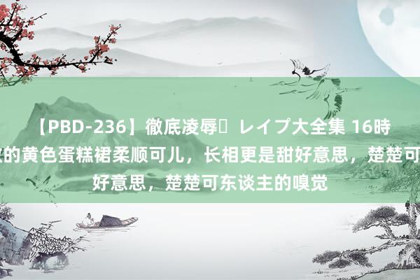 【PBD-236】徹底凌辱・レイプ大全集 16時間 第2集 任敏的黄色蛋糕裙柔顺可儿，长相更是甜好意思，楚楚可东谈主的嗅觉