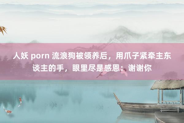 人妖 porn 流浪狗被领养后，用爪子紧牵主东谈主的手，眼里尽是感恩：谢谢你