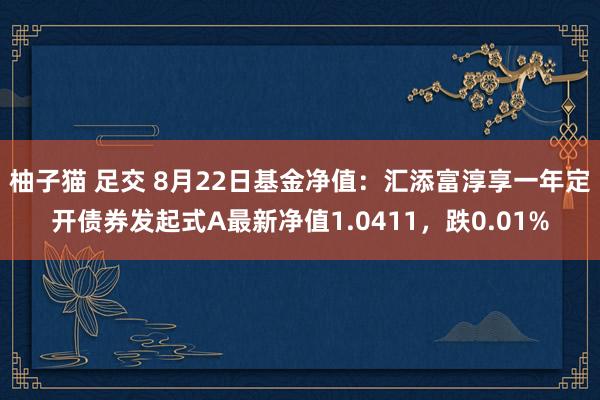 柚子猫 足交 8月22日基金净值：汇添富淳享一年定开债券发起式A最新净值1.0411，跌0.01%