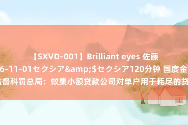 【SXVD-001】Brilliant eyes 佐藤あい</a>2006-11-01セクシア&$セクシア120分钟 国度金融监督科罚总局：蚁集小额贷款公司对单户用于耗尽的贷款余额不得晋升东谈主民币二十万元