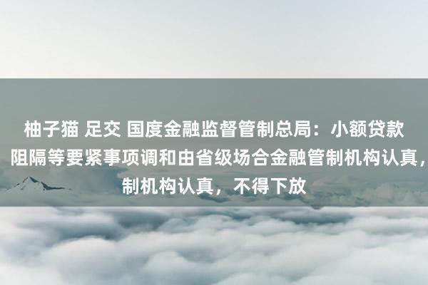 柚子猫 足交 国度金融监督管制总局：小额贷款公司建立、阻隔等要紧事项调和由省级场合金融管制机构认真，不得下放