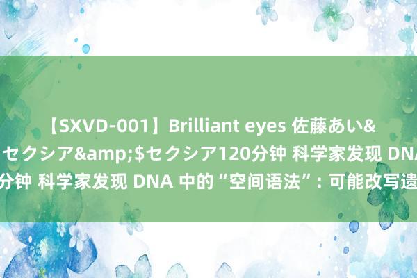 【SXVD-001】Brilliant eyes 佐藤あい</a>2006-11-01セクシア&$セクシア120分钟 科学家发现 DNA 中的“空间语法”: 可能改写遗传学教科书