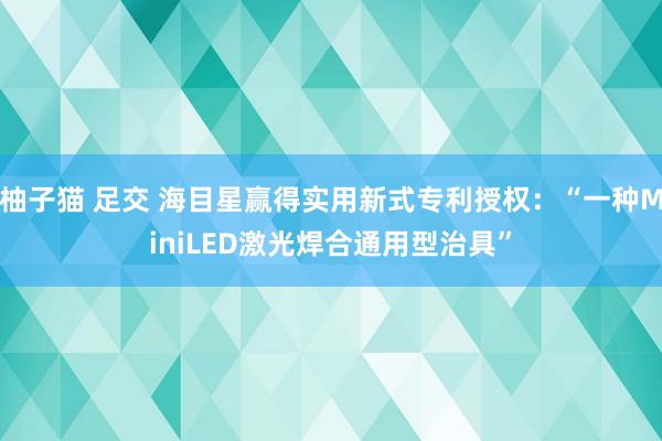 柚子猫 足交 海目星赢得实用新式专利授权：“一种MiniLED激光焊合通用型治具”