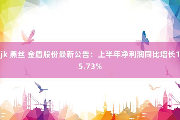 jk 黑丝 金盾股份最新公告：上半年净利润同比增长15.73%