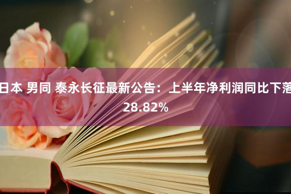 日本 男同 泰永长征最新公告：上半年净利润同比下落28.82%