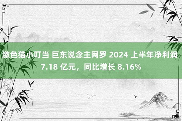 激色猫小叮当 巨东说念主网罗 2024 上半年净利润 7.18 亿元，同比增长 8.16%