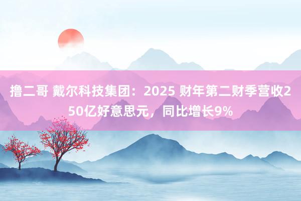 撸二哥 戴尔科技集团：2025 财年第二财季营收250亿好意思元，同比增长9%