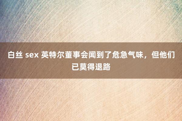 白丝 sex 英特尔董事会闻到了危急气味，但他们已莫得退路