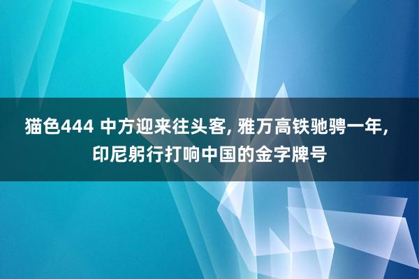 猫色444 中方迎来往头客， 雅万高铁驰骋一年， 印尼躬行打响中国的金字牌号