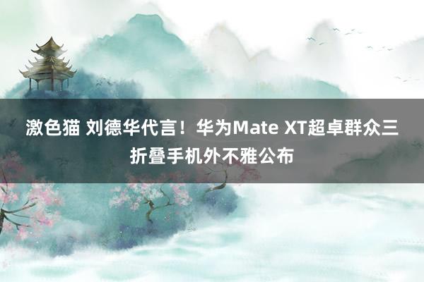 激色猫 刘德华代言！华为Mate XT超卓群众三折叠手机外不雅公布