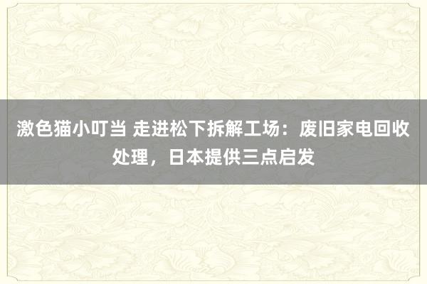 激色猫小叮当 走进松下拆解工场：废旧家电回收处理，日本提供三点启发