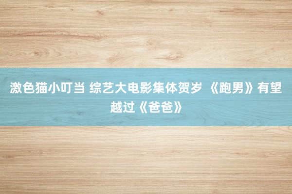 激色猫小叮当 综艺大电影集体贺岁 《跑男》有望越过《爸爸》