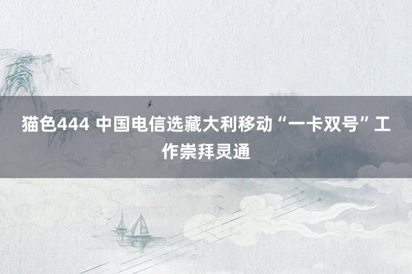 猫色444 中国电信选藏大利移动“一卡双号”工作崇拜灵通