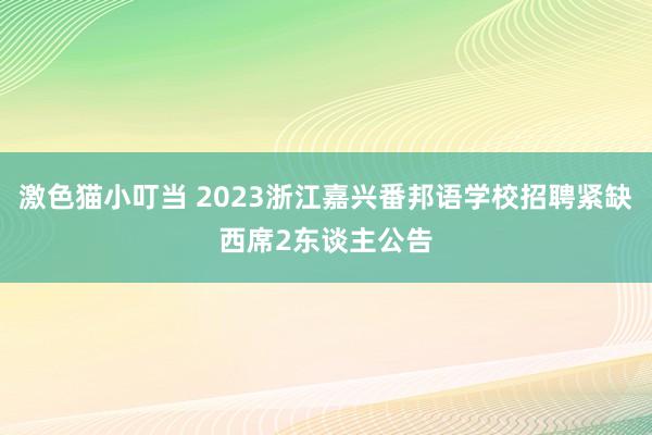 激色猫小叮当 2023浙江嘉兴番邦语学校招聘紧缺西席2东谈主公告