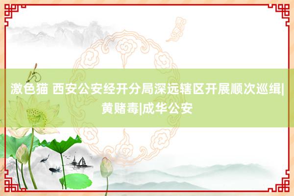 激色猫 西安公安经开分局深远辖区开展顺次巡缉|黄赌毒|成华公安