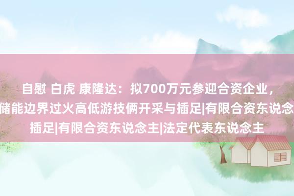 自慰 白虎 康隆达：拟700万元参迎合资企业，其主要用于新动力、储能边界过火高低游技俩开采与插足|有限合资东说念主|法定代表东说念主