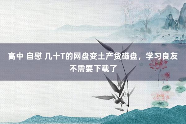 高中 自慰 几十T的网盘变土产货磁盘，学习良友不需要下载了