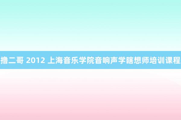 撸二哥 2012 上海音乐学院音响声学瞎想师培训课程