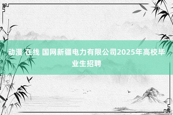 动漫 在线 国网新疆电力有限公司2025年高校毕业生招聘