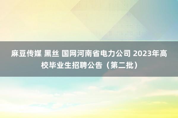 麻豆传媒 黑丝 国网河南省电力公司 2023年高校毕业生招聘公告（第二批）