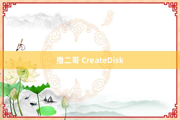 撸二哥 CreateDisk