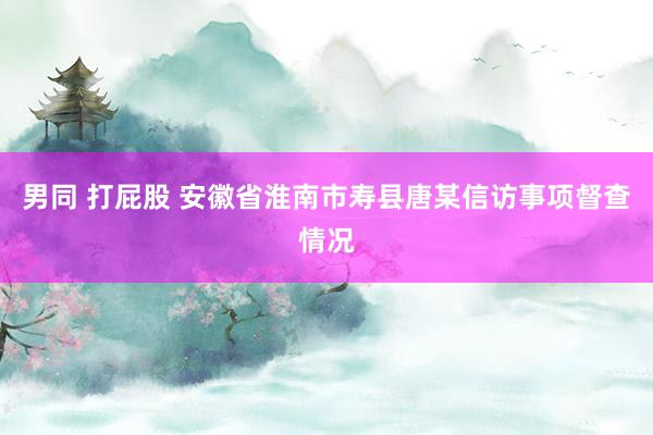 男同 打屁股 安徽省淮南市寿县唐某信访事项督查情况