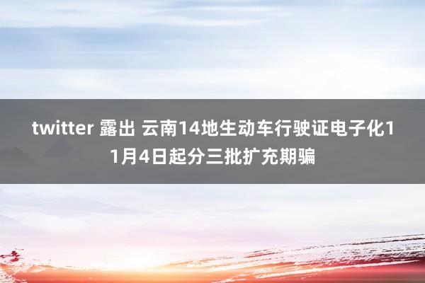 twitter 露出 云南14地生动车行驶证电子化11月4日起分三批扩充期骗