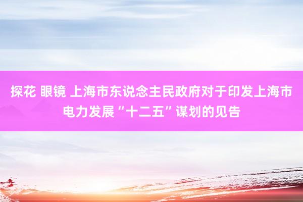 探花 眼镜 上海市东说念主民政府对于印发上海市电力发展“十二五”谋划的见告